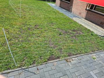 Schapennet / schapen net  beschikbaar voor biedingen