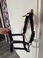 covalliero halster dark purple, Ophalen of Verzenden, Zo goed als nieuw, Overige soorten