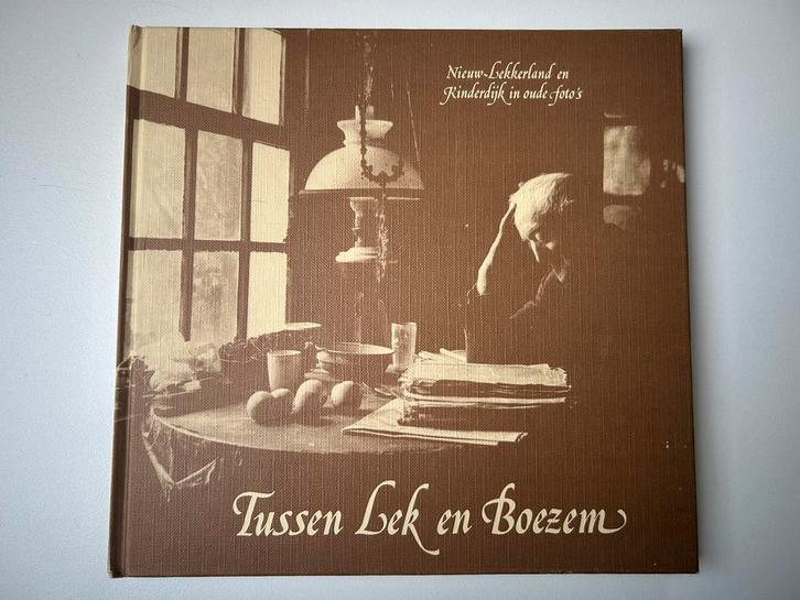 Tussen Lek en Boezem, Boeken, Geschiedenis | Stad en Regio, Zo goed als nieuw, 19e eeuw, Ophalen of Verzenden