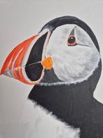 Papegaaiduiker Schilderij - 40x30 cm, Antiek en Kunst, Kunst | Litho's en Zeefdrukken, Ophalen