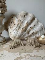 Oude Elastolin schaapjes en lammetjes, Ophalen of Verzenden, Gebruikt