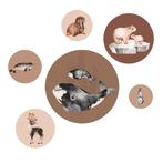 Muursticker Dieren Noordpool Artic Bruin Dutch sprinkles, Info@dutchsprinkles.nl, Ophalen of Verzenden, Wanddecoratie, Dutch Sprinkles