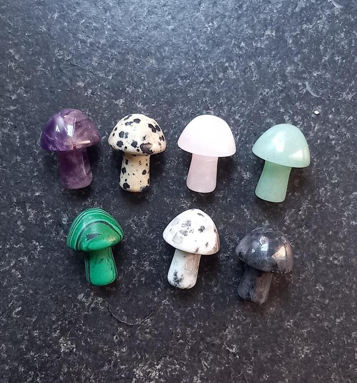 Leuke edelsteen paddestoelen "nieuw" 3 Voor €2,50, Sieraden, Tassen en Uiterlijk, Edelstenen, Nieuw, Ophalen of Verzenden