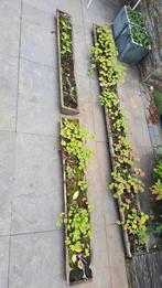 Gratis af te halen Bamboe plantenbakken set, Tuin en Terras, Bloembakken en Plantenbakken, Ophalen, Rond, Hout