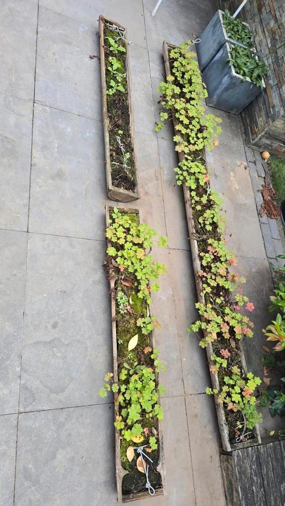 Gratis af te halen Bamboe plantenbakken set, Tuin en Terras, Bloembakken en Plantenbakken, Hout, Rond, Ophalen