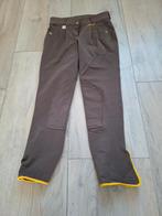 Nedhorse ladies paardrijbroek bruin - maat 34, Dieren en Toebehoren, Paardrijkleding, Ophalen of Verzenden, Zo goed als nieuw