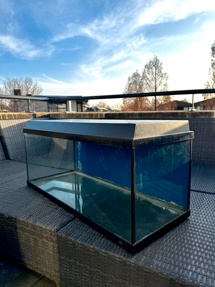 Hamsterkooi / terrarium volledig met alle toebehoren, Dieren en Toebehoren, Knaagdieren en Konijnen | Hokken en Kooien, Hok, Minder dan 60 cm