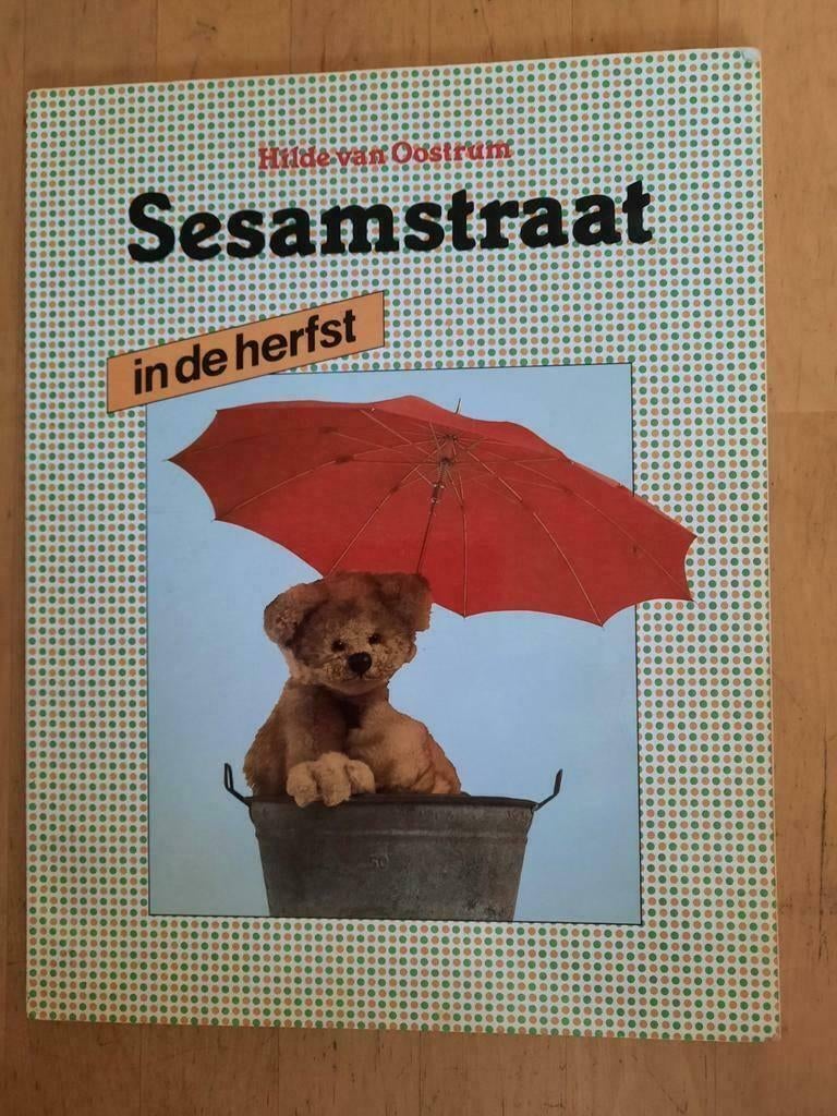 SESAMSTRAAT IN DE HERFST, Ophalen of Verzenden, Fictie algemeen