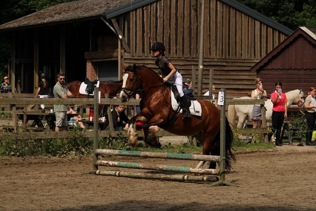 Bijrijder/verzorger aangeboden, Dieren en Toebehoren, Paarden en Pony's | Verzorgingsproducten, Ophalen