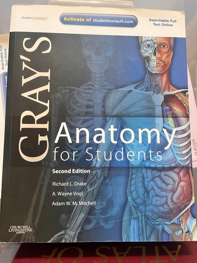 Gray’s Anatomy 2nd edition, Boeken, Studieboeken en Cursussen, Ophalen of Verzenden, Beta, Zo goed als nieuw, WO