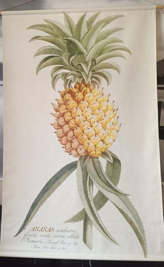 Wanddoek met Ananas Print, Ophalen, Zo goed als nieuw