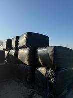 (Voordroog) kuil, Ophalen of Verzenden, Vee