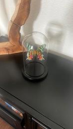 Opgezette vlinder in stolp, Ophalen of Verzenden, Zo goed als nieuw