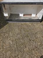 Broedkooi, Dieren en Toebehoren, Ophalen, Hout, Broedkooi of Kweekkooi