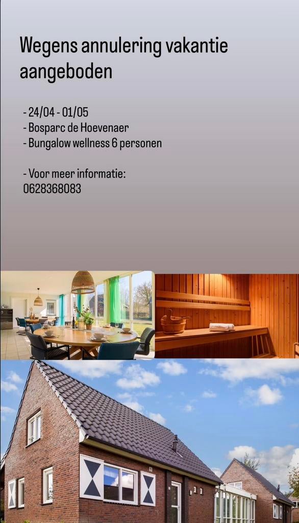 Vakantie aangeboden, Vakantie