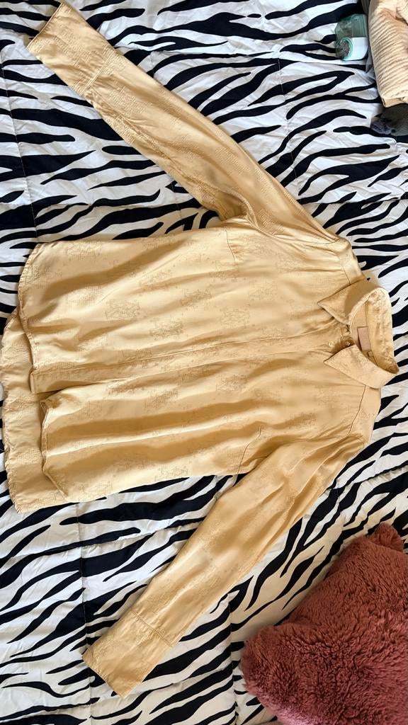 Josh V blouse, Kleding | Dames, Blouses en Tunieken, Zo goed als nieuw, Maat 46/48 (XL) of groter, Overige kleuren, Ophalen of Verzenden