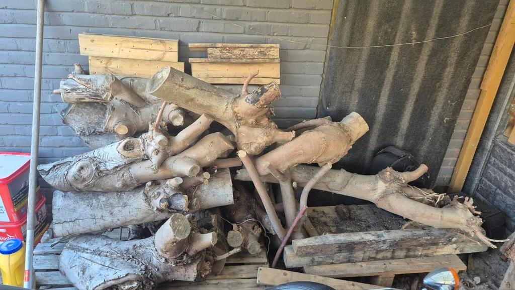 Haardhout gratis, Tuin en Terras, Minder dan 3 m³, Ophalen