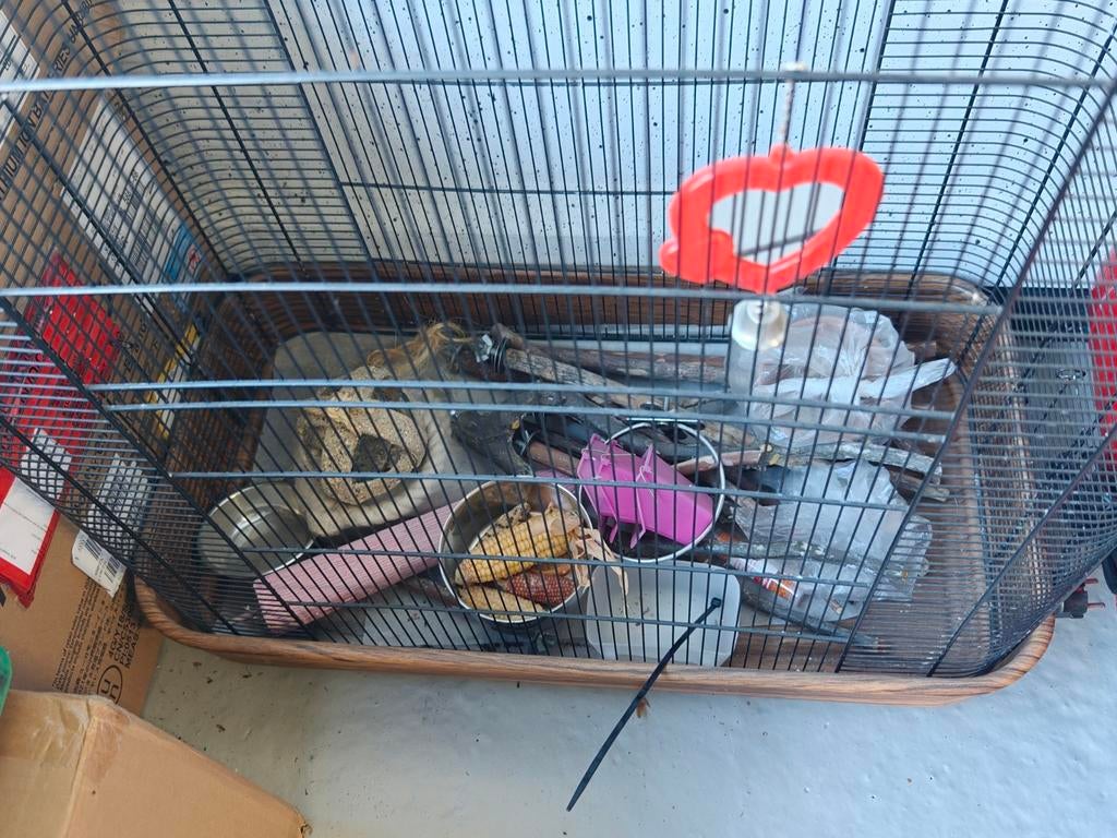 Zgas vogelkooi met toebehoren, Ophalen