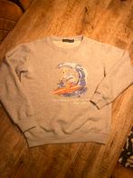 Ralph lauren sweater, Ophalen of Verzenden, Zo goed als nieuw