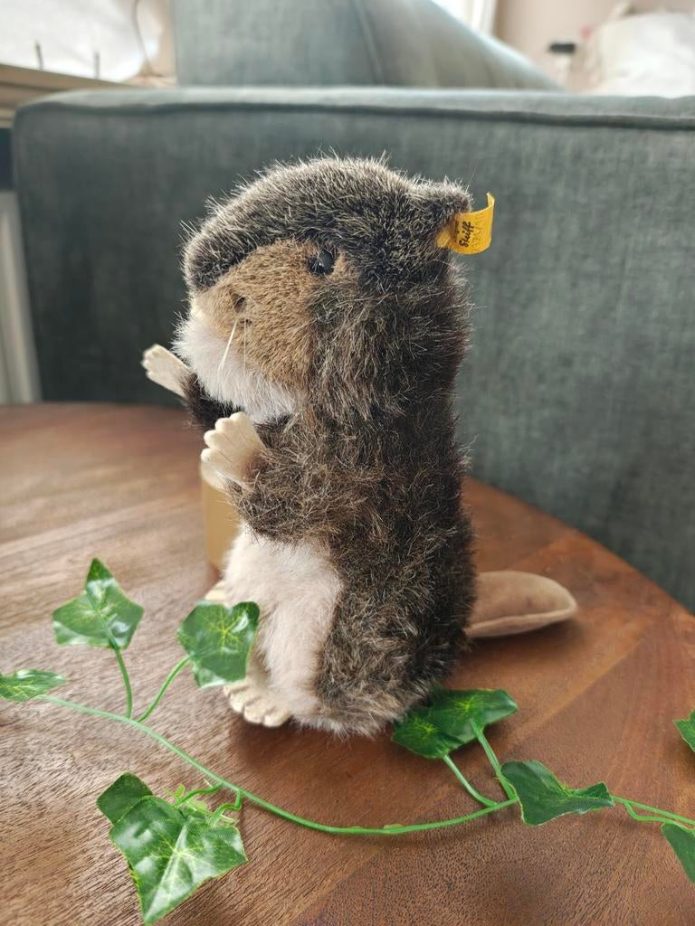 Steiff Beaver, Ophalen of Verzenden, Zo goed als nieuw, Stoffen beer, Steiff