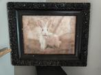 Oude brocante zwarte lijst, Ophalen of Verzenden, 50 tot 75 cm, Schilderij, 50 tot 75 cm