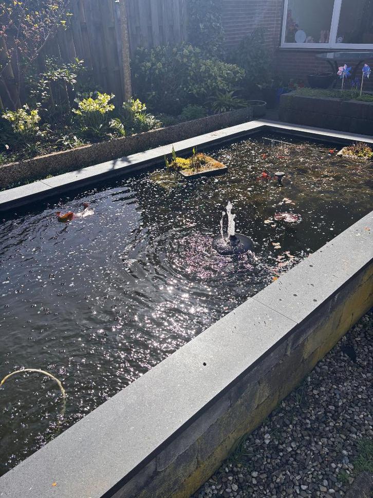 Gratis tuin vijver, Tuin en Terras, Vijvers, Gebruikt, Ophalen