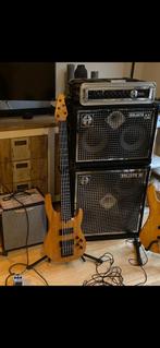 2x SWR Goliath III, Ophalen, Zo goed als nieuw, 100 watt of meer