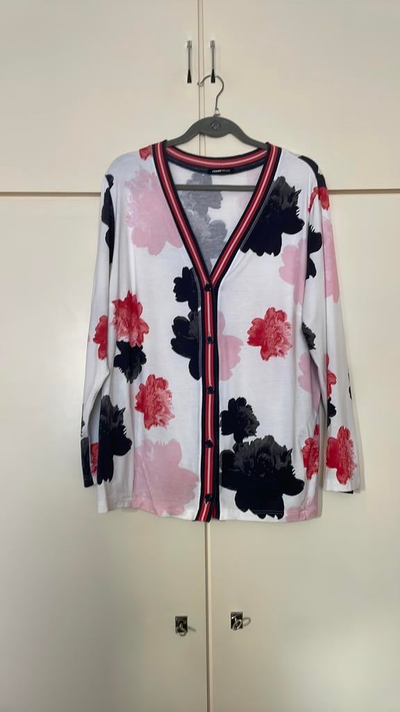 Frank walder dun vest mt 44/46, Ophalen of Verzenden, Zo goed als nieuw, Overige kleuren, Trui of Vest