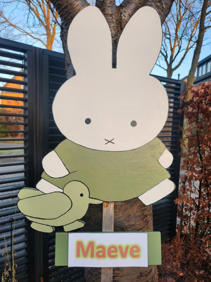 Ooievaar of een ander leuk geboortebord huren, Kinderen en Baby's, Kraamcadeaus en Geboorteborden, Ophalen