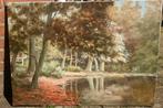 ~1980 olieverf op doek, Oisterwijk vennen, ges. C. Schut, Antiek en Kunst, Kunst | Schilderijen | Klassiek, Ophalen of Verzenden