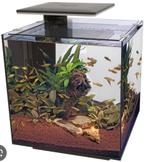 Superfish qubiq 30, Ophalen of Verzenden, Zo goed als nieuw, Leeg aquarium