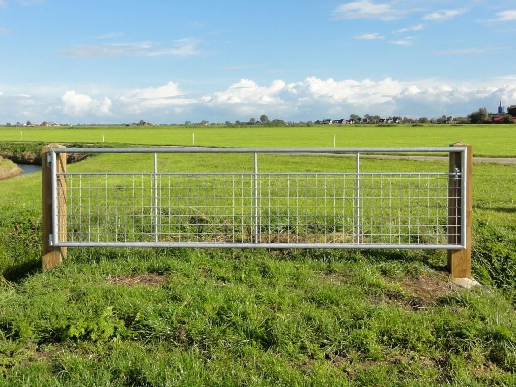 Landhek met gaas weidehek poort schapen lammeren weidepoort