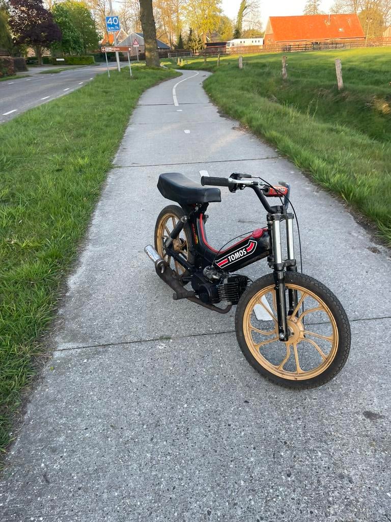 Tomos 65cc, Ophalen, Zo goed als nieuw, Standard