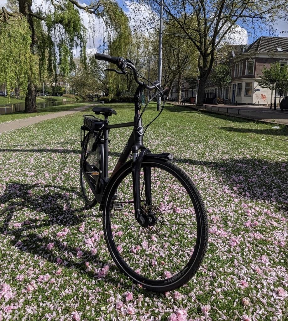 Stella Vicenza (Bosch) E-Bike voor heren + Anti-lek banden, Ophalen, Gebruikt, 30 tot 50 km per accu, Overige merken