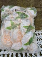 decoratieve ranonkels, Ophalen of Verzenden, Nieuw