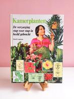 Boek Kamerplanten David Longman 1980 - planten, Ophalen of Verzenden, Zo goed als nieuw, David Longman, Kamerplanten