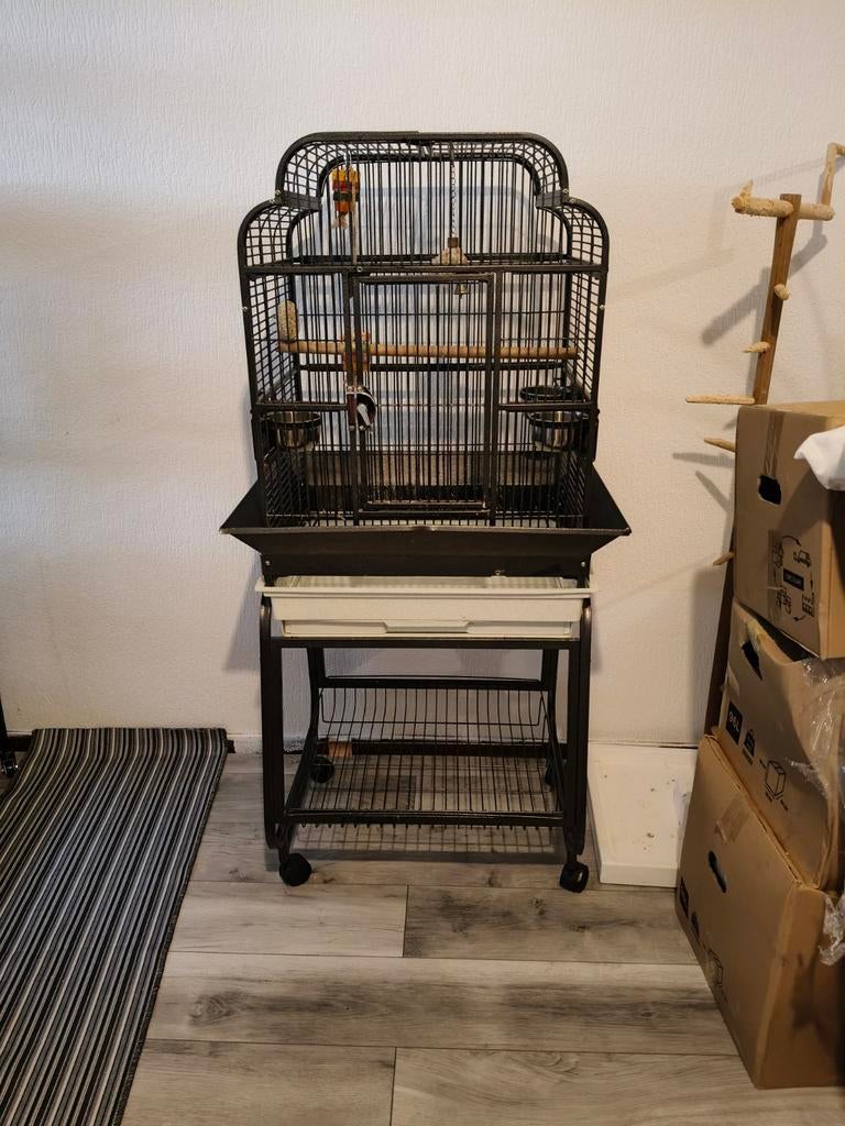 Papegaaienkooi strong gaia sofia

56X43X160CM, Dieren en Toebehoren, Mannelijk, Parkiet