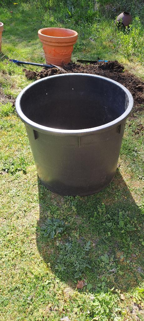 boomkuip 240 liter, Ophalen, Kunststof, Gebruikt, 100 cm of meer