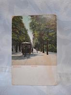 Rotterdam,  Parklaan met paardentram, Ophalen of Verzenden, Voor 1920, Gelopen, Zuid-Holland