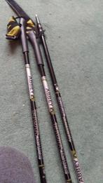 2paar wandelstoken, Sport en Fitness, Ophalen of Verzenden, Zo goed als nieuw, Wandelstok