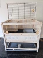 Luxe Houten Konijnenhok - Ferplast Arena 120 - Loosdrecht, Ophalen, Hamster, 90 cm of meer, Hok