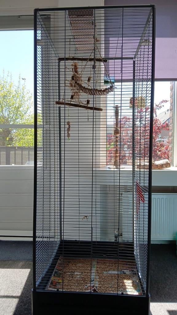 Goede parkietenkooi 170 hoog, Ophalen, Metaal, Vogelkooi