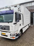 MAN  TGL 8-240 automaat koelbak, Auto's, Vrachtwagens, Particulier, Te koop