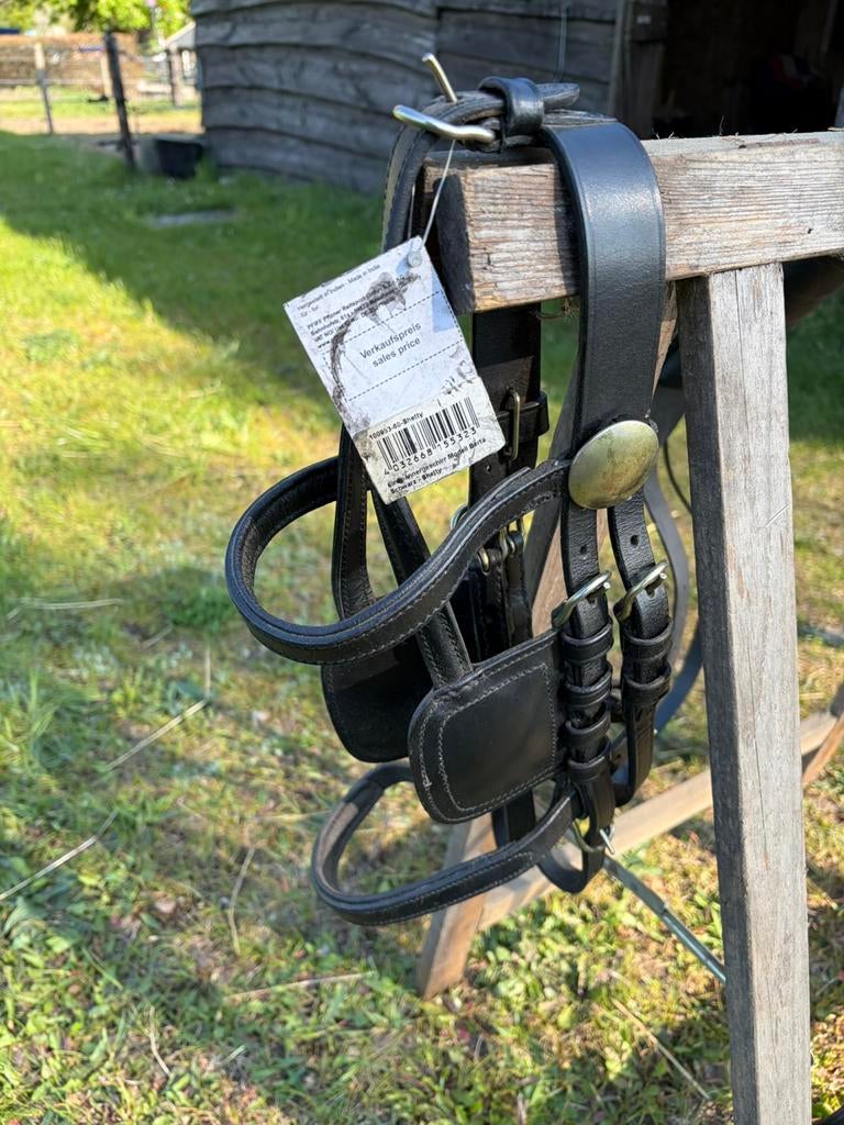 Shetland mentuig, Ophalen, Zo goed als nieuw, Overige soorten