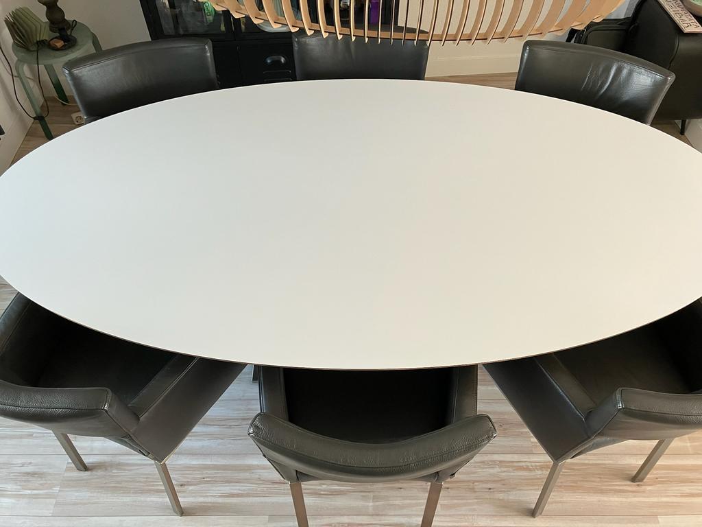 Design ovale eettafel (Pot) met 6 leren stoelen (Foucault), Ophalen, Overige materialen, 100 tot 150 cm, Design