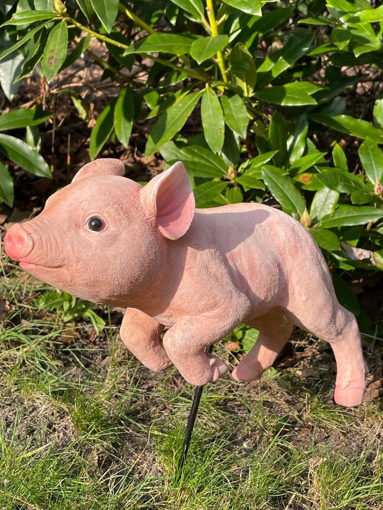 Mini varken (tuin)beeld Rennend op een stalen stok, Tuin en Terras, Tuinbeelden, Ophalen of Verzenden, Nieuw, Kunststof, Dierenbeeld