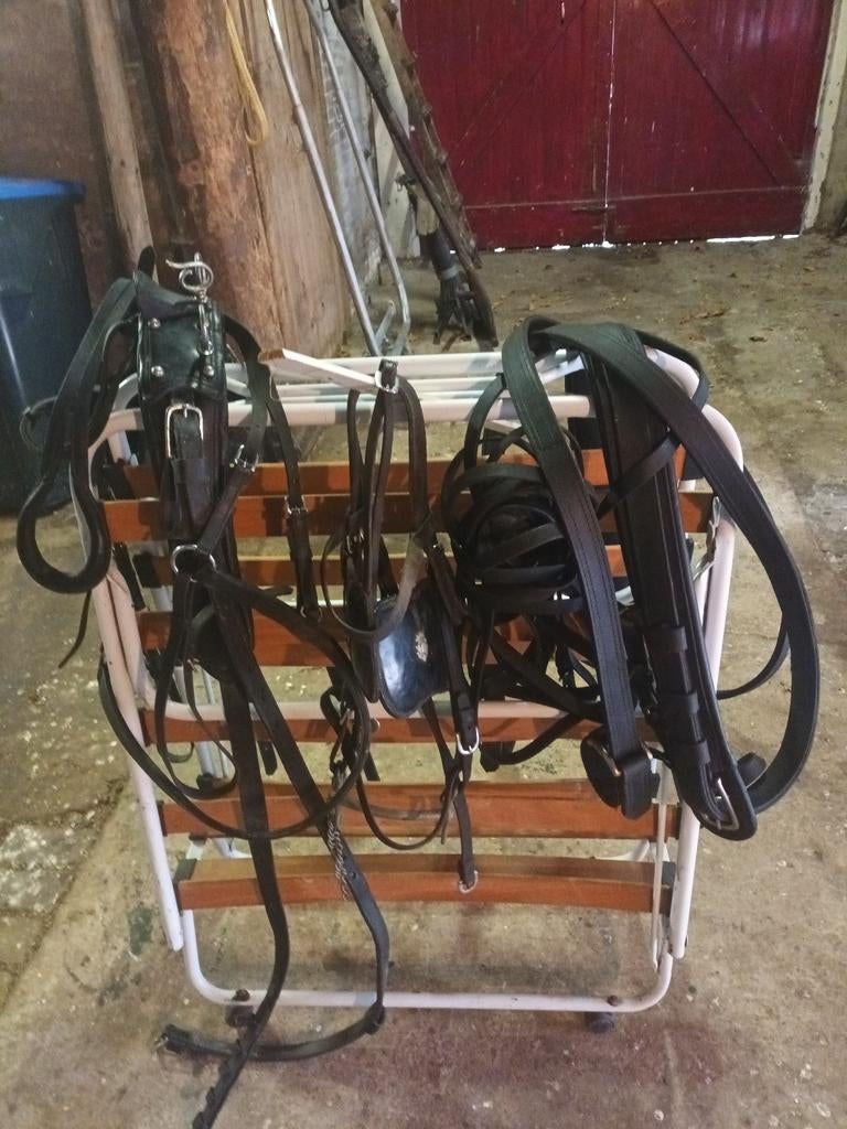 Tekoop, Ophalen, Overige soorten