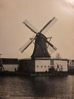 Zaandam molen het Rad van Avontuur, Ophalen of Verzenden, Voor 1940, Zo goed als nieuw, Overige onderwerpen
