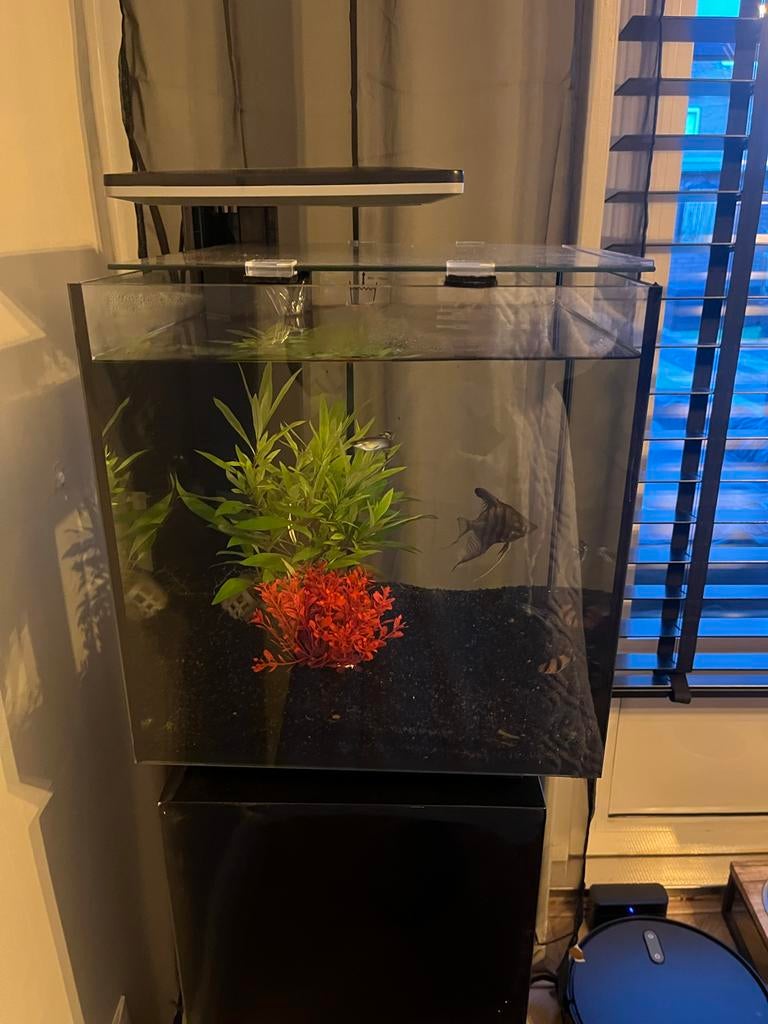 Super mooi aquarium inc toebehoren helemaal compleet, Dieren en Toebehoren, Vissen | Aquaria en Toebehoren, Ophalen of Verzenden