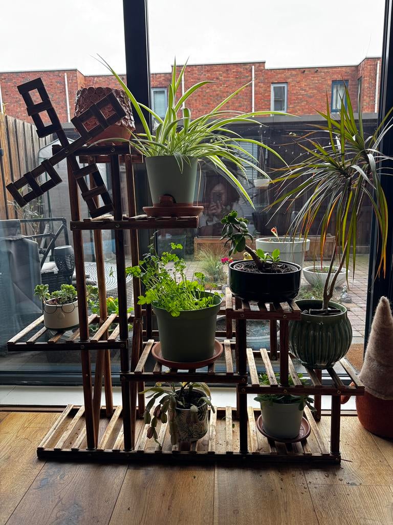 Houten plantenrek binnen, Ophalen, Zo goed als nieuw